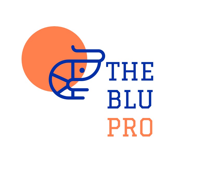 THE BLU PRO