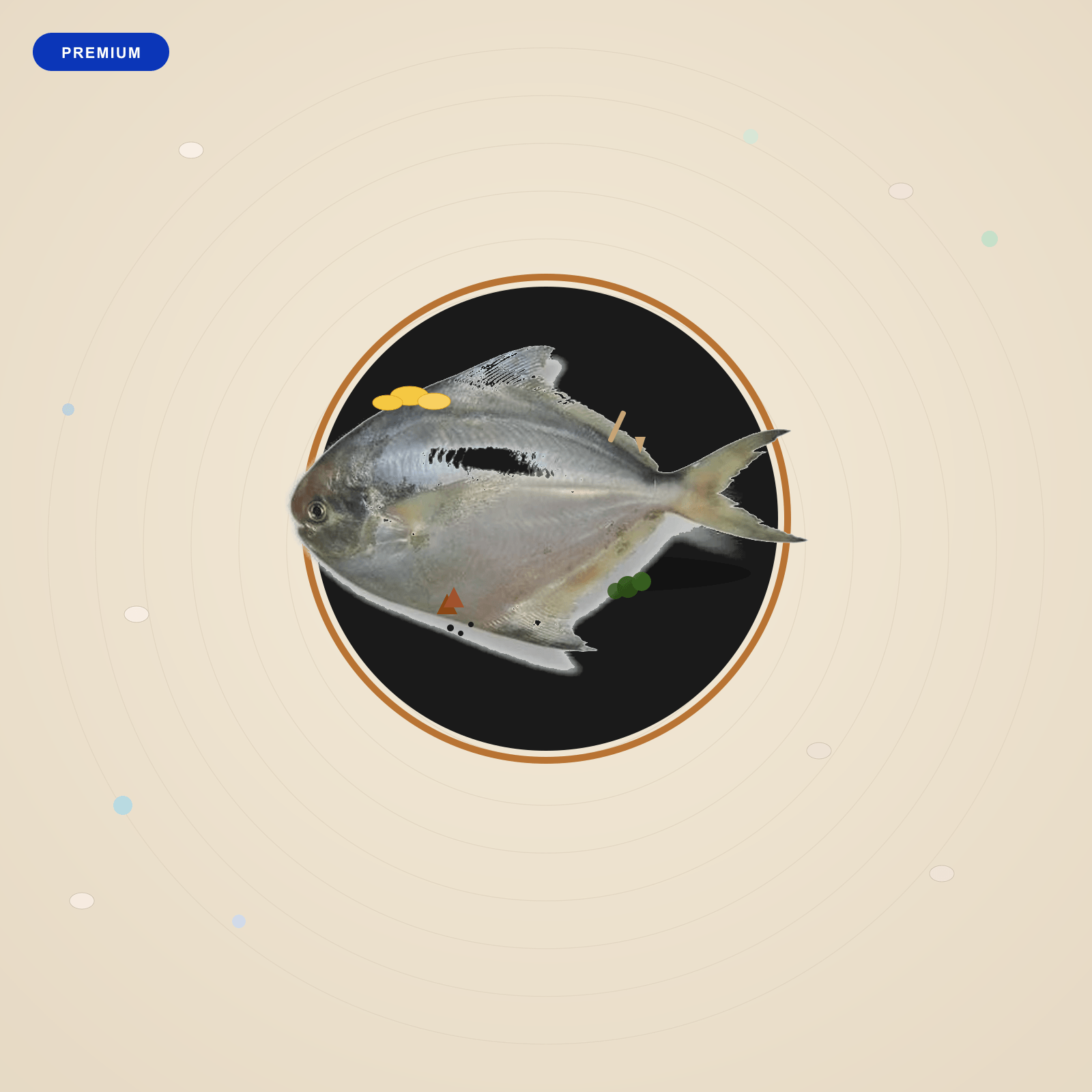 Silver Pomfret